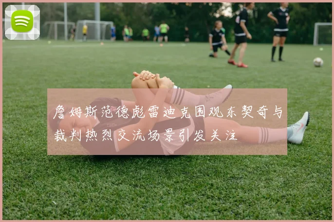 詹姆斯范德彪雷迪克围观东契奇与裁判热烈交流场景引发关注